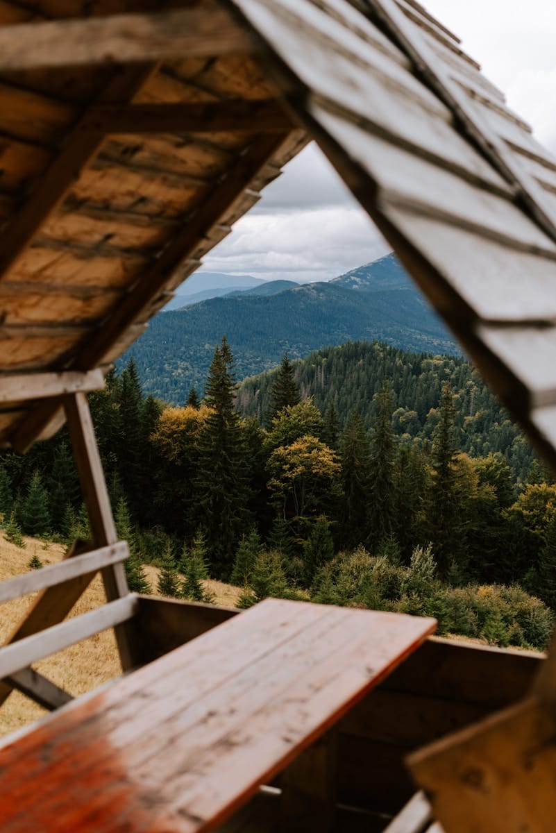 A wooden bench sitting on top of a lush green hillside