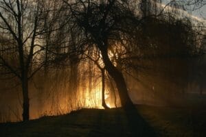 Website, Cyber Essentials update, Willow Aprill 2024